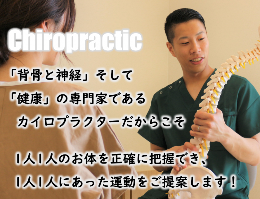 背骨　神経　健康　カイロプラクティック　運動